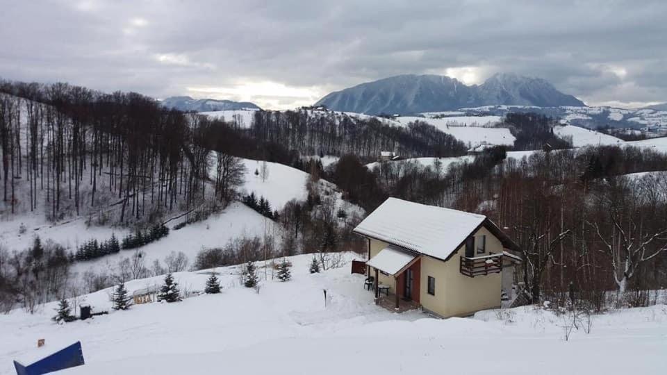 Cabana 7 Brazi Пояна-Марулуй Екстер'єр фото