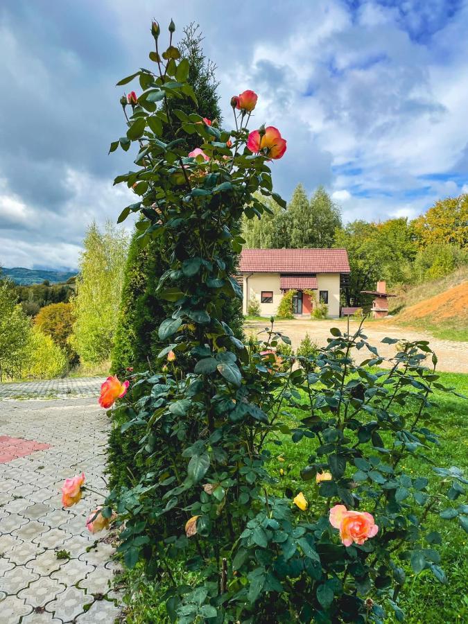 Cabana 7 Brazi Пояна-Марулуй Екстер'єр фото