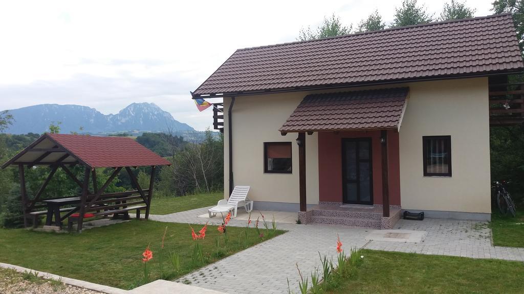 Cabana 7 Brazi Пояна-Марулуй Екстер'єр фото