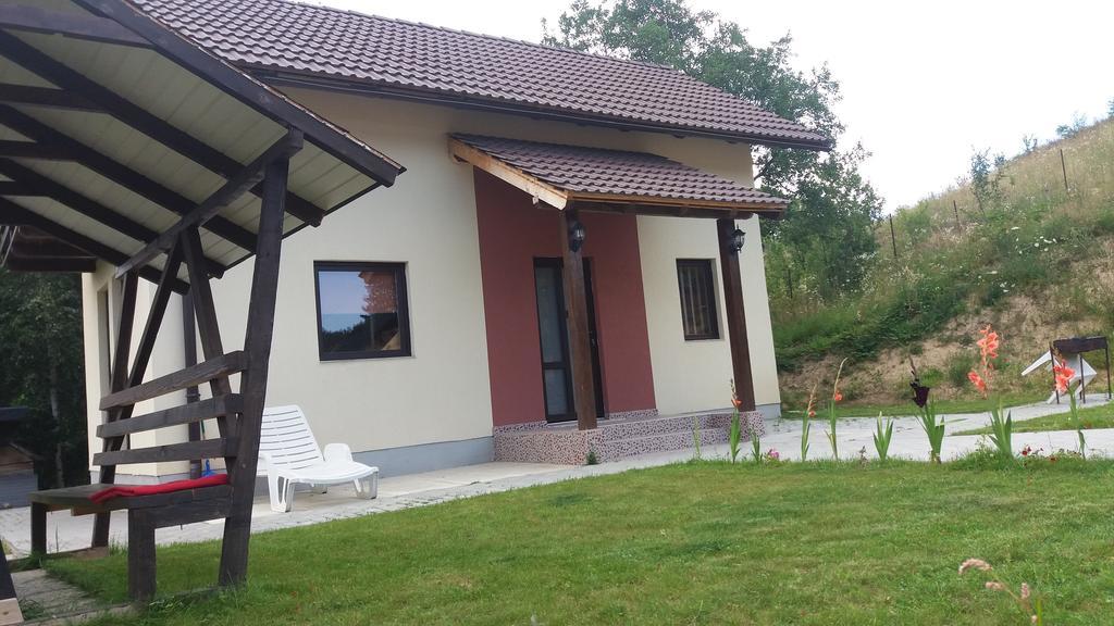 Cabana 7 Brazi Пояна-Марулуй Екстер'єр фото