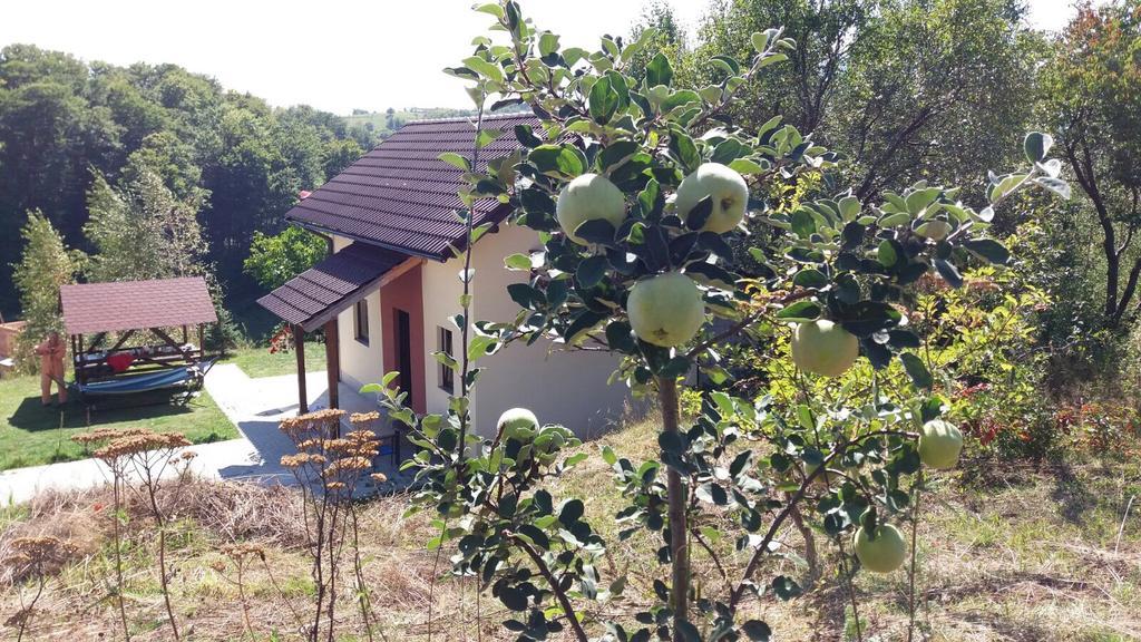 Cabana 7 Brazi Пояна-Марулуй Екстер'єр фото